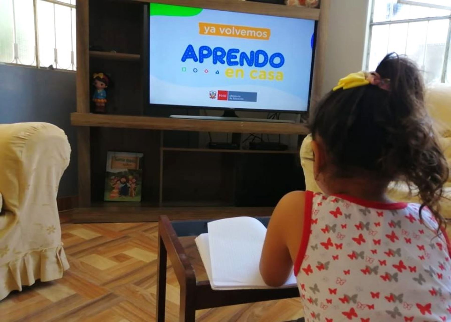 Durante las emisiones del programa Aprendo en casa, las madres fueron quienes acompañaron a sus hijos en un 63,7% de los casos